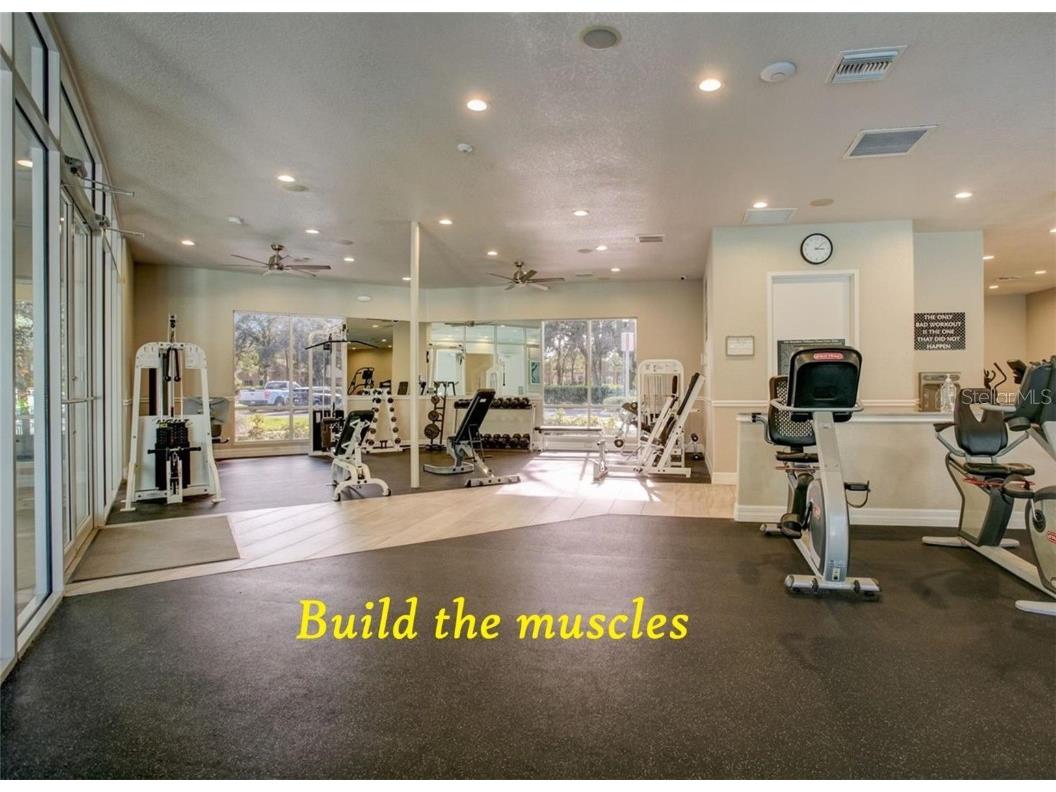 5316 Lochmead Terrace Zephyrhills FL 33541 TB8427338 image62