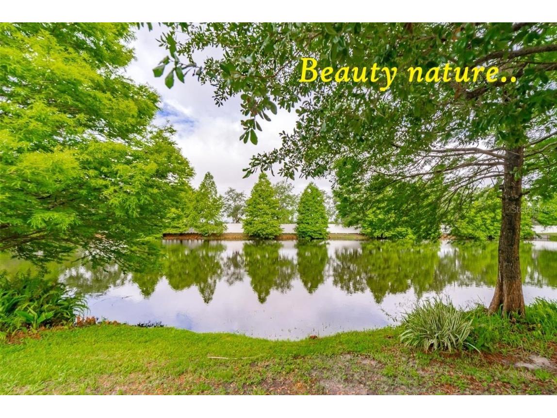 5316 Lochmead Terrace Zephyrhills FL 33541 TB8427338 image63