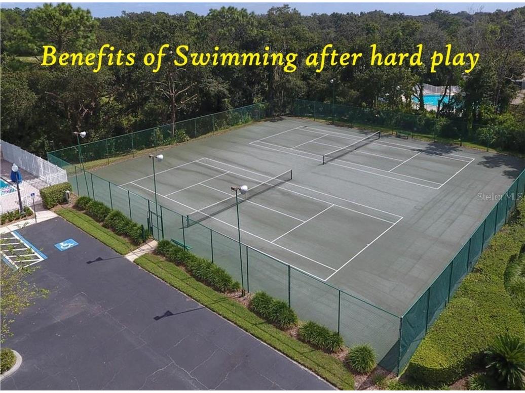 5316 Lochmead Terrace Zephyrhills FL 33541 TB8427338 image64