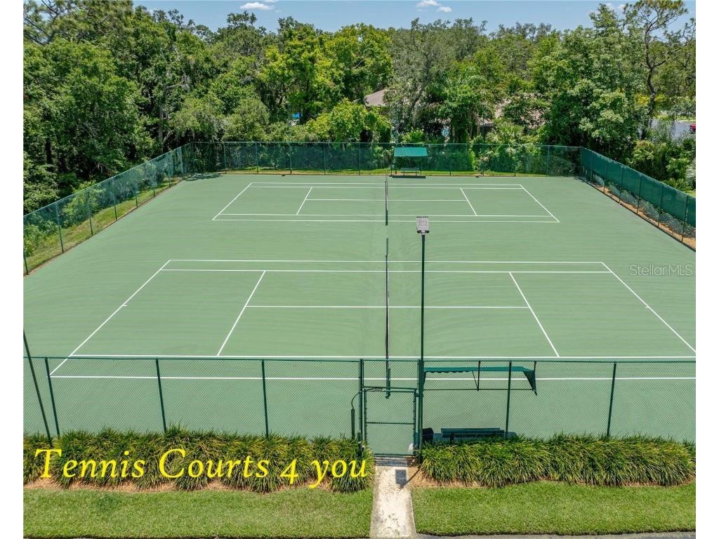 5316 Lochmead Terrace Zephyrhills FL 33541 TB8427338 image68