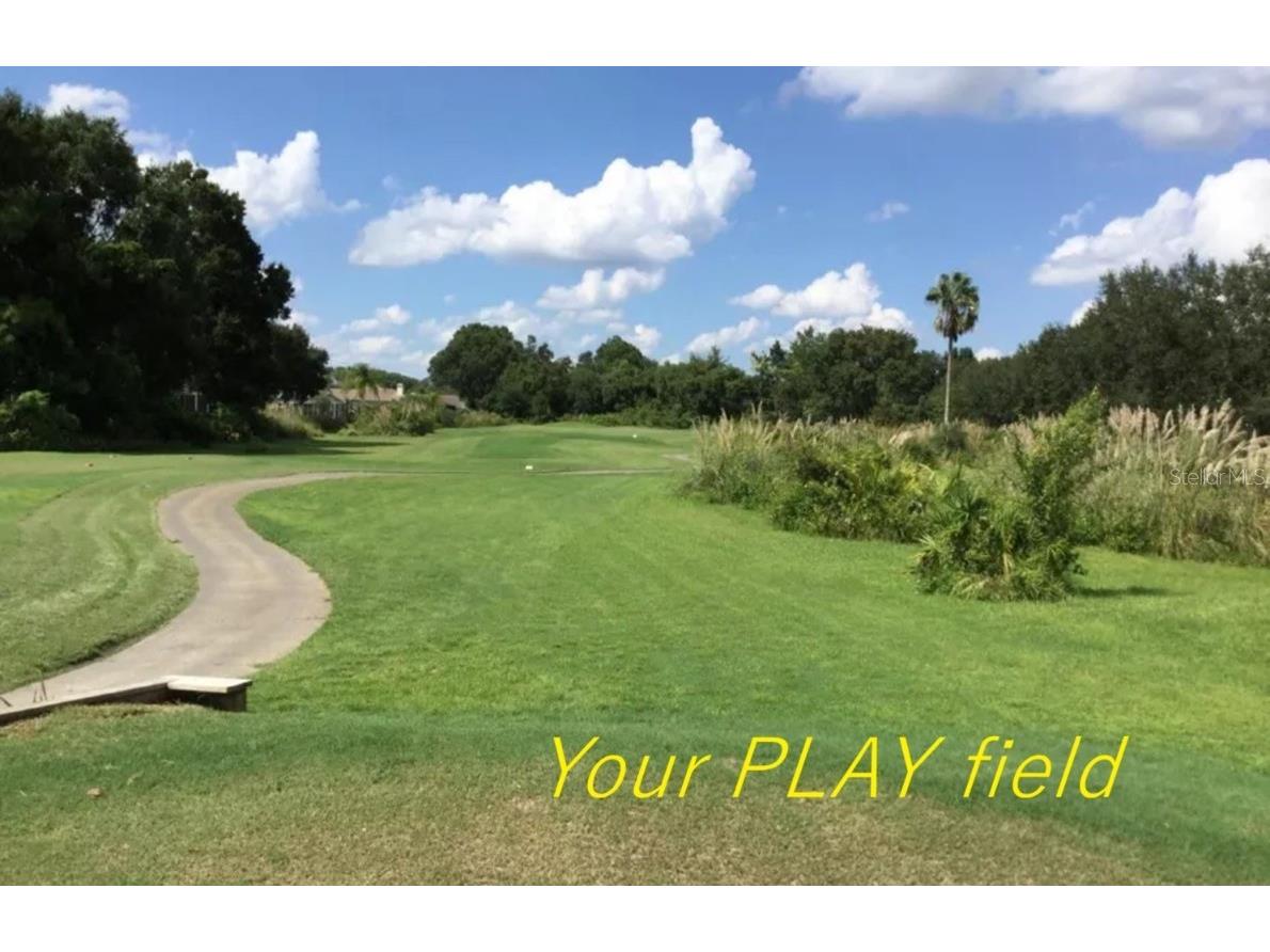 5316 Lochmead Terrace Zephyrhills FL 33541 TB8427338 image69