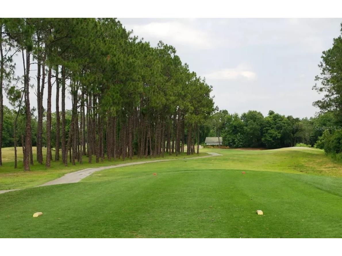 5316 Lochmead Terrace Zephyrhills FL 33541 TB8427338 image70