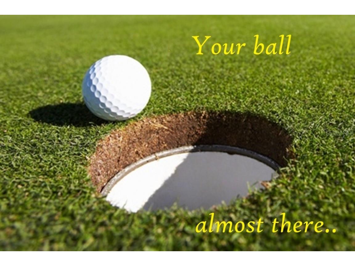 5316 Lochmead Terrace Zephyrhills FL 33541 TB8427338 image71