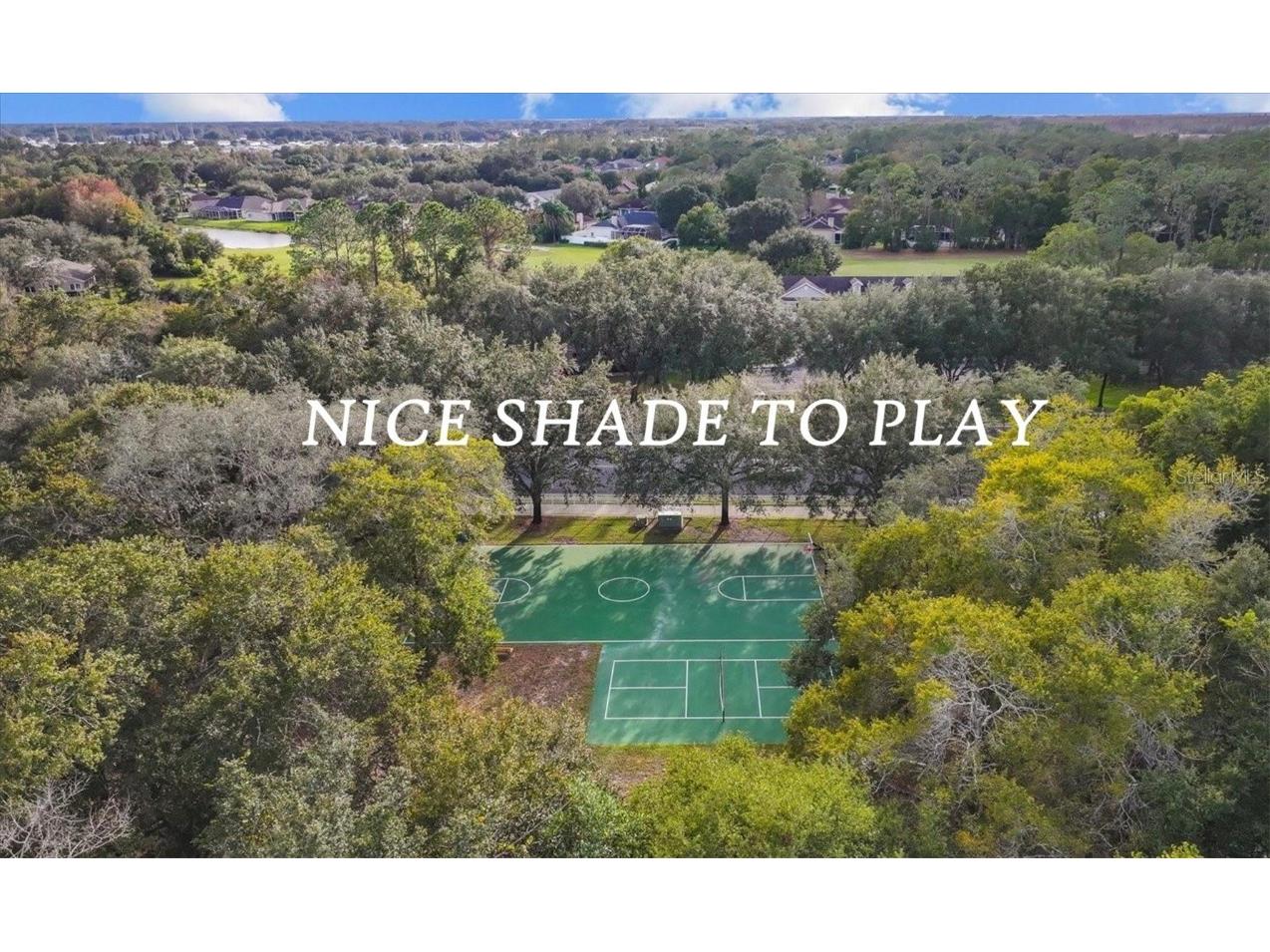 5316 Lochmead Terrace Zephyrhills FL 33541 TB8427338 image78