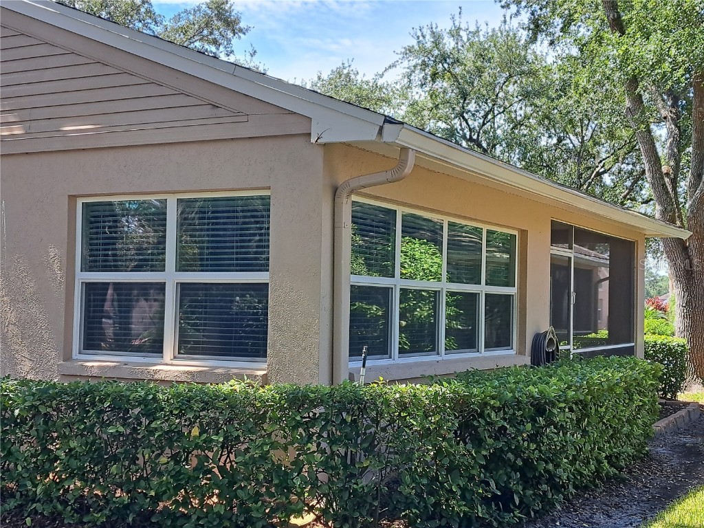 5316 Lochmead Terrace Zephyrhills FL 33541 TB8427338 image8