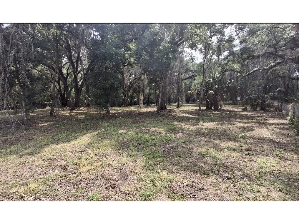 5316 SW 13th Street Gainesville FL 32608 TB8458212 image6