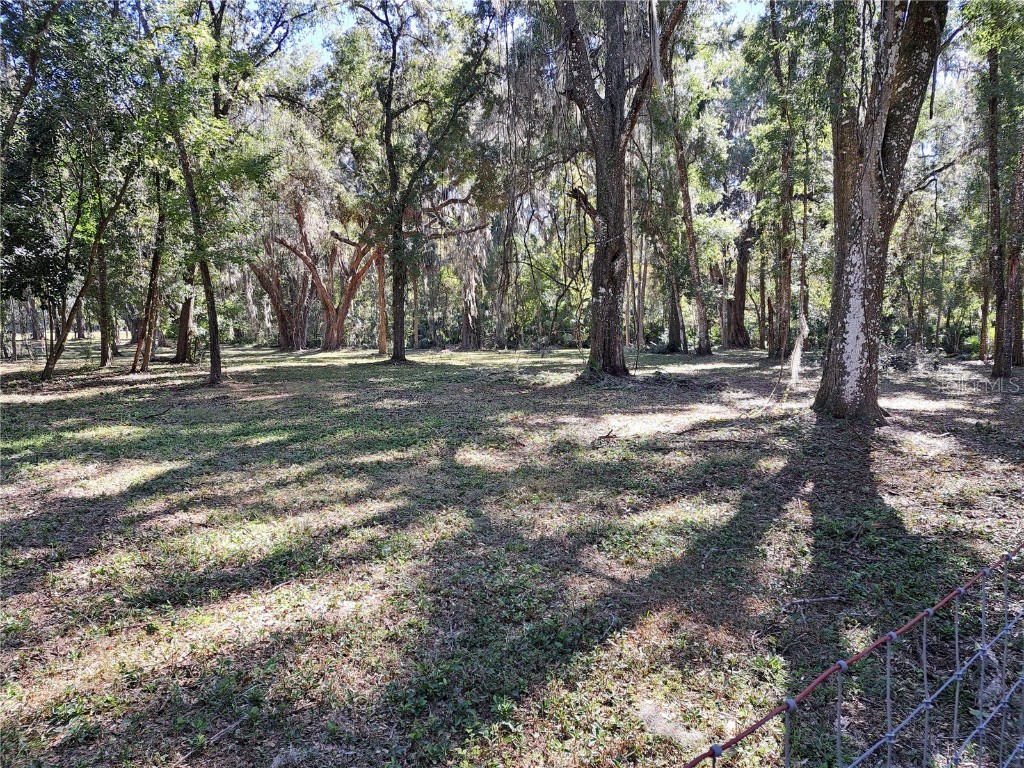 5316 SW 13th Street Gainesville FL 32608 TB8458212 image8