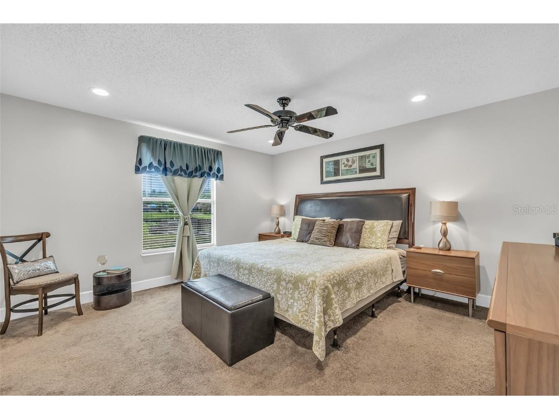 5317 Black Pine Drive Tampa FL 33624 TB8366180 image17