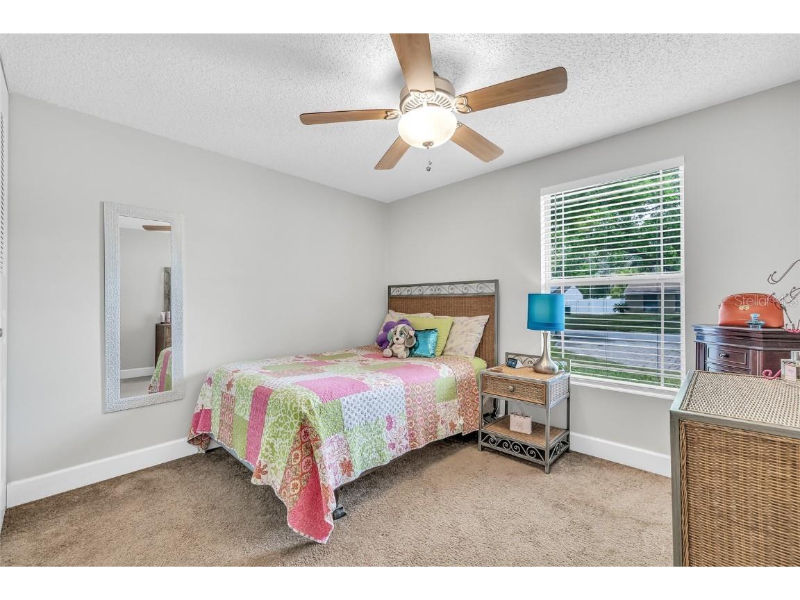 5317 Black Pine Drive Tampa FL 33624 TB8366180 image22