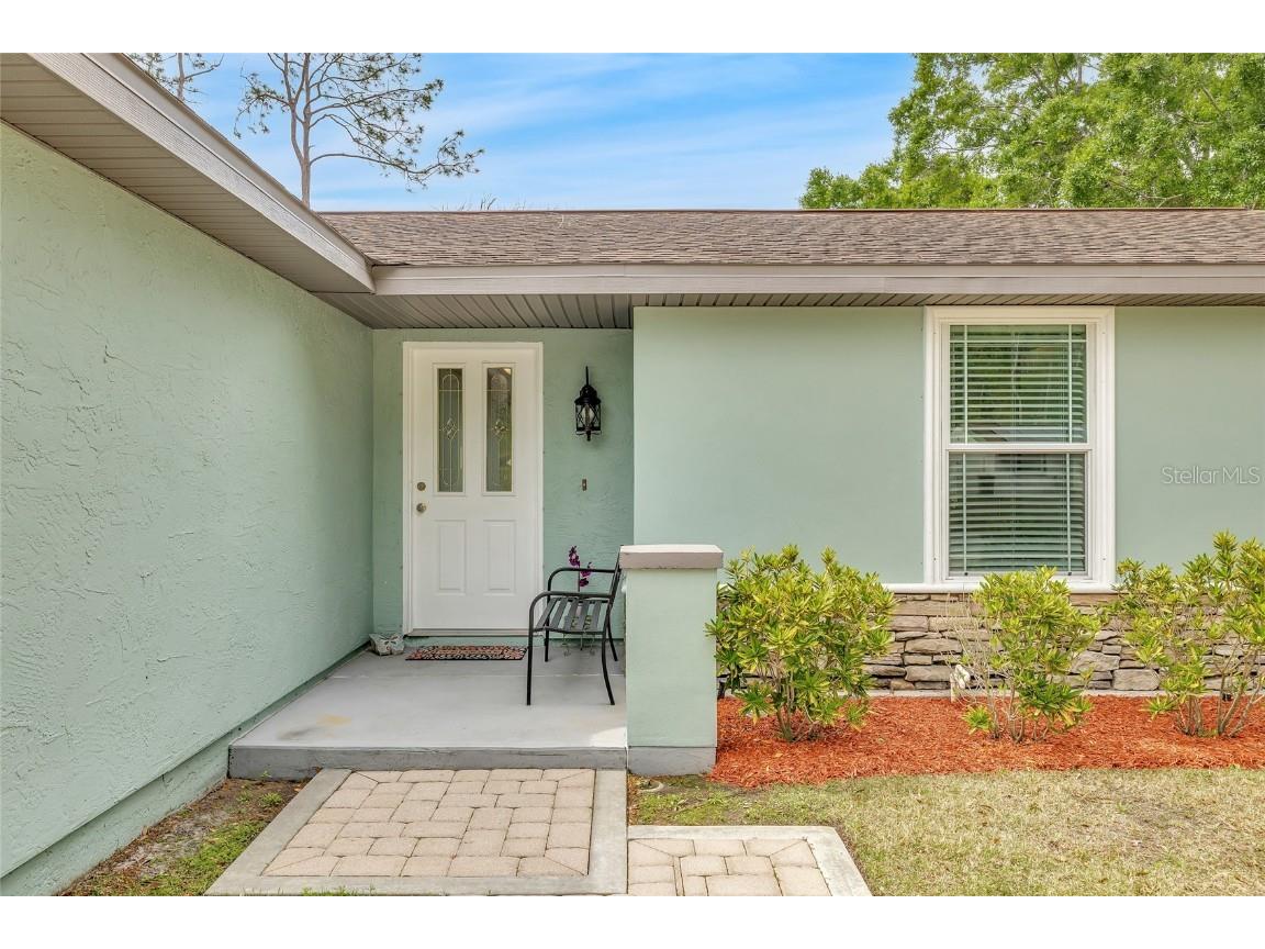 5317 Black Pine Drive Tampa FL 33624 TB8366180 image3