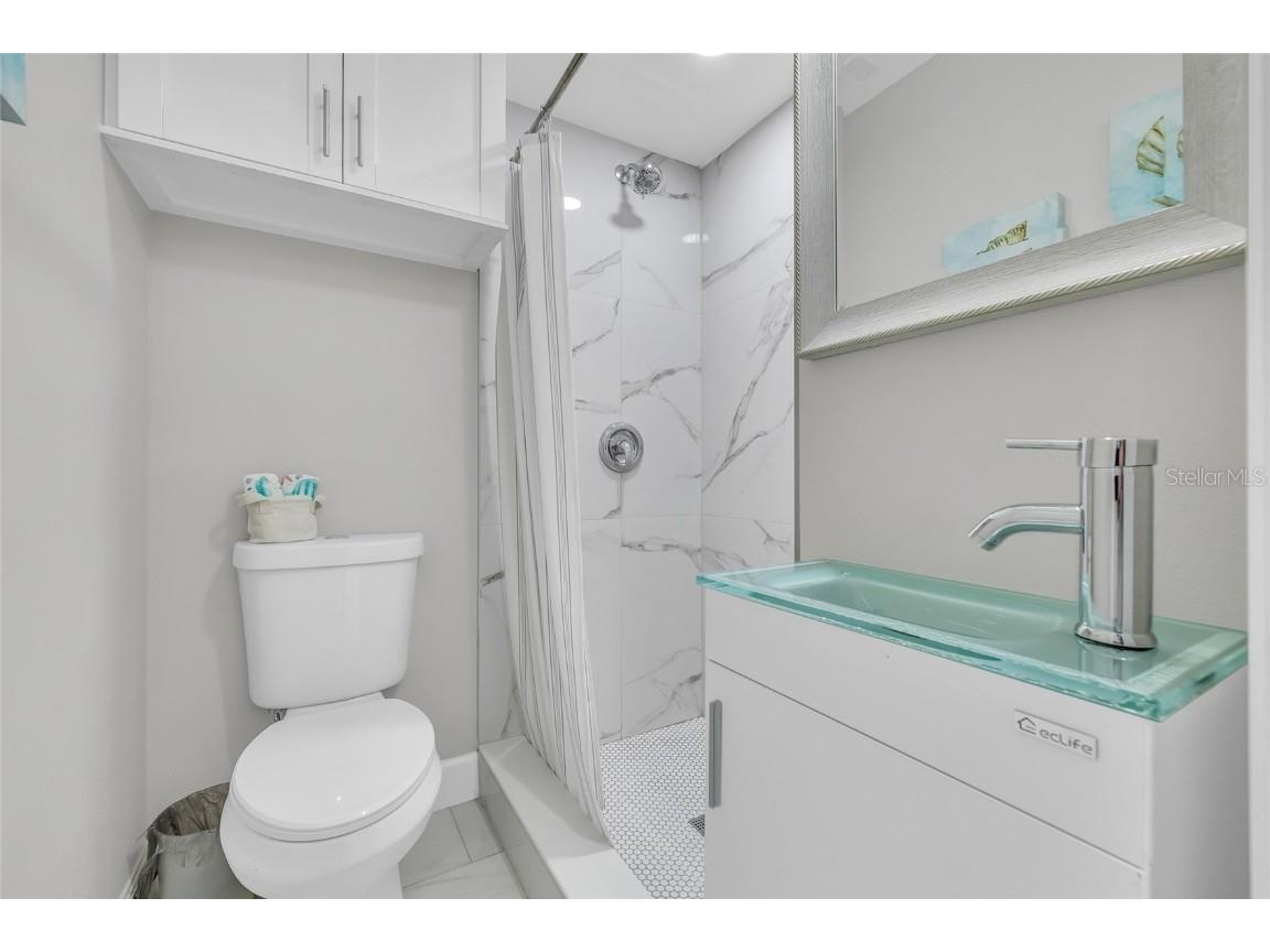 5317 Black Pine Drive Tampa FL 33624 TB8366180 image33