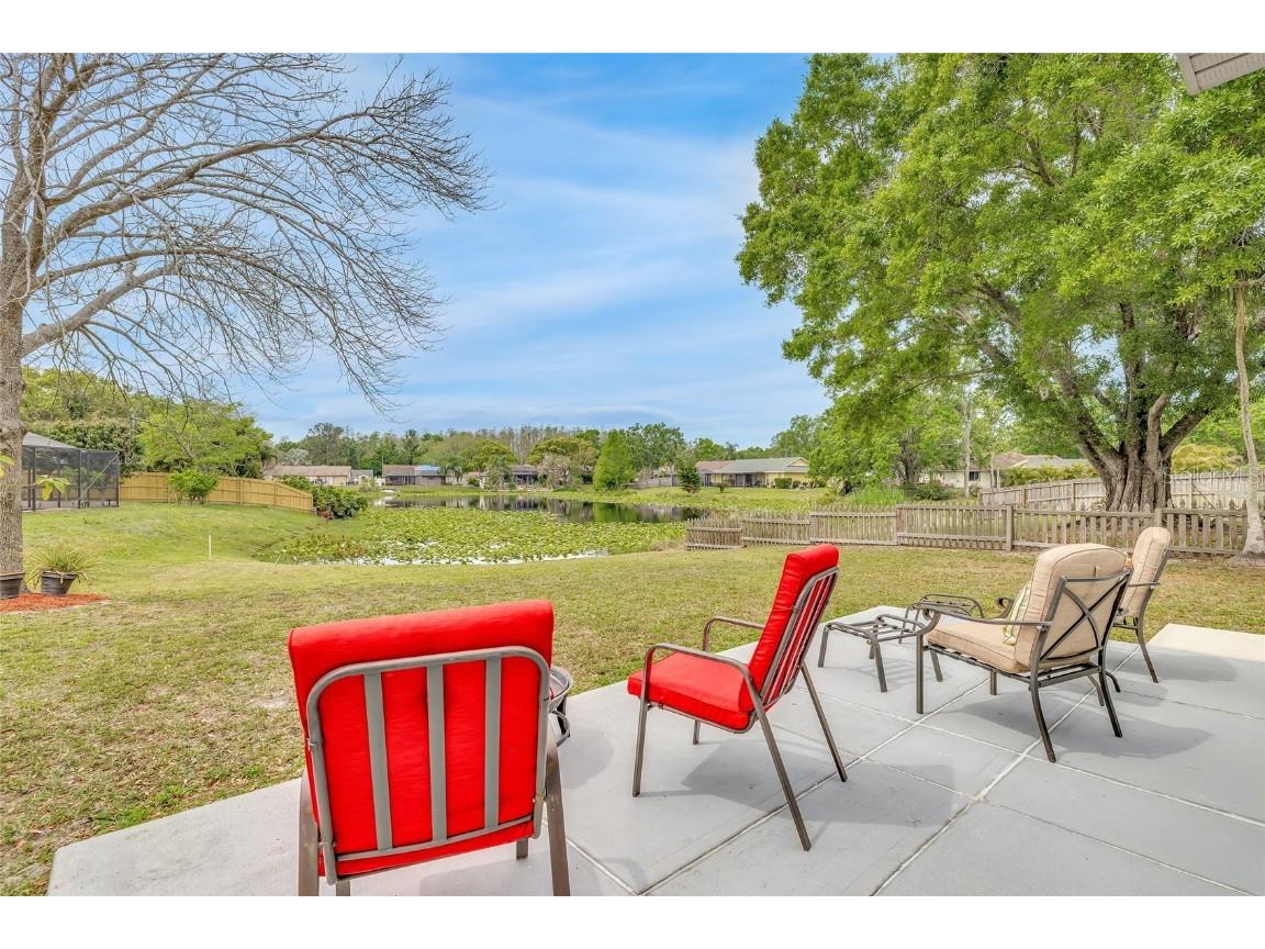 5317 Black Pine Drive Tampa FL 33624 TB8366180 image35