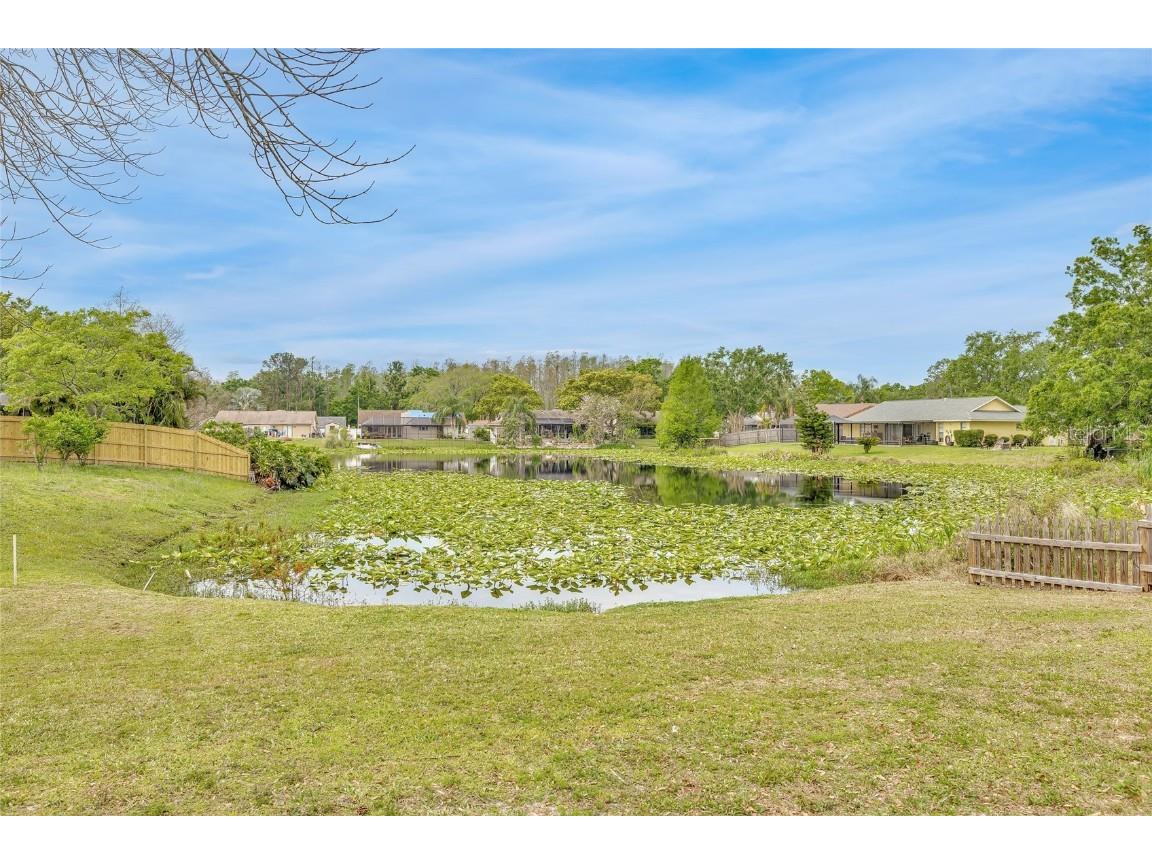 5317 Black Pine Drive Tampa FL 33624 TB8366180 image36