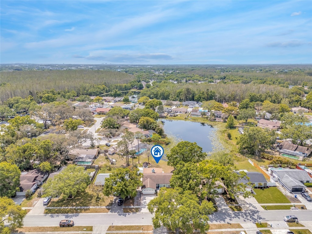 5317 Black Pine Drive Tampa FL 33624 TB8366180 image39