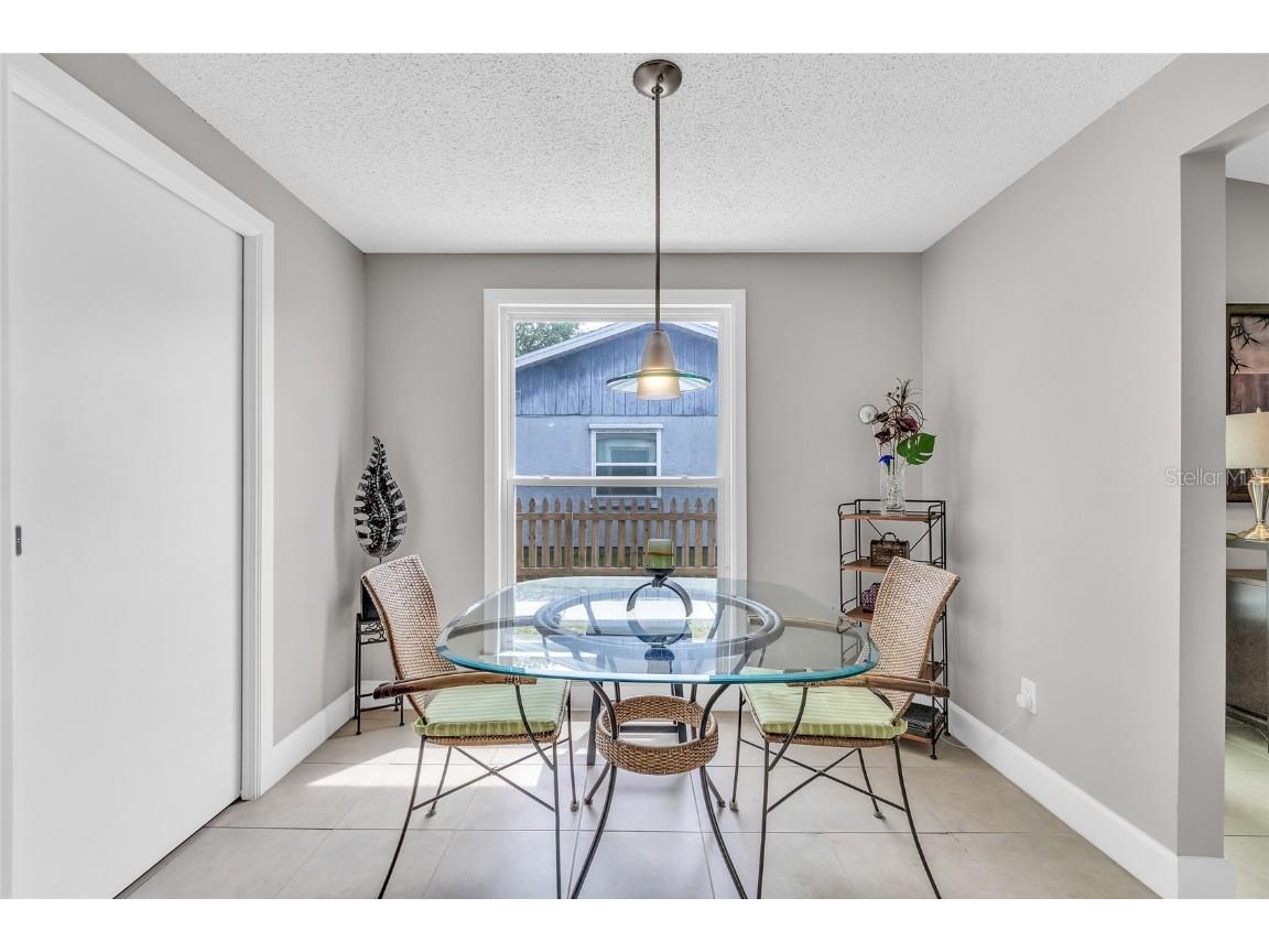 5317 Black Pine Drive Tampa FL 33624 TB8366180 image9