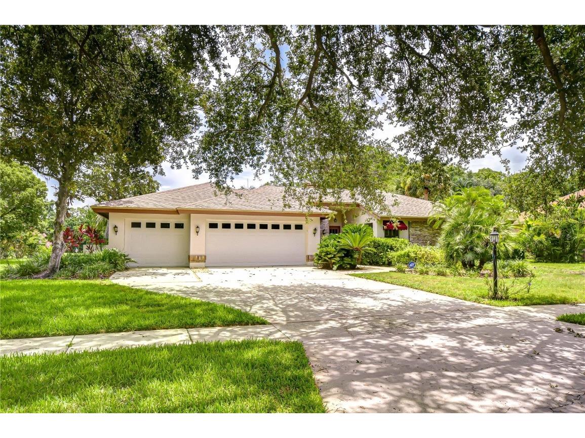 5317 Burchette Road Tampa FL 33647 TB8406954 image1