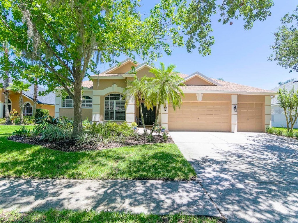 5317 Pagnotta Place Lutz FL 33558 T3449441 image1