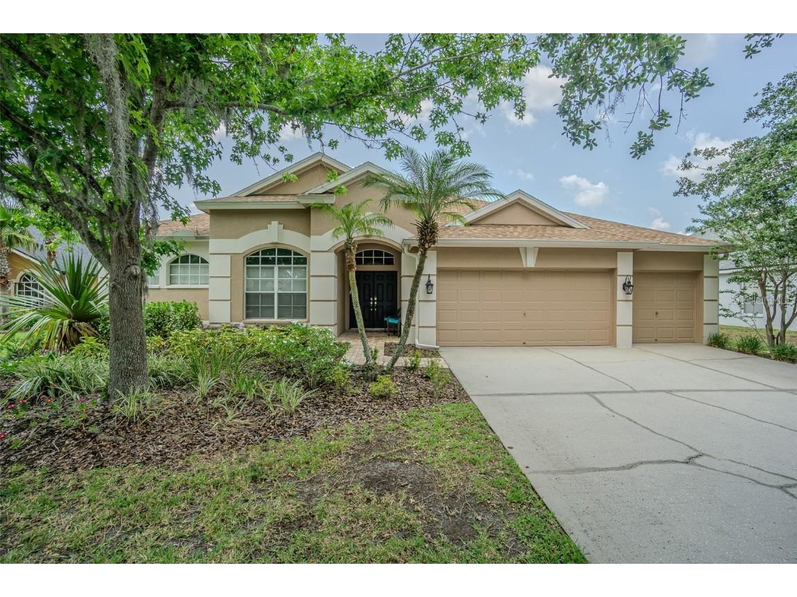 5317 Pagnotta Place Lutz FL 33558 TB8384807 image1