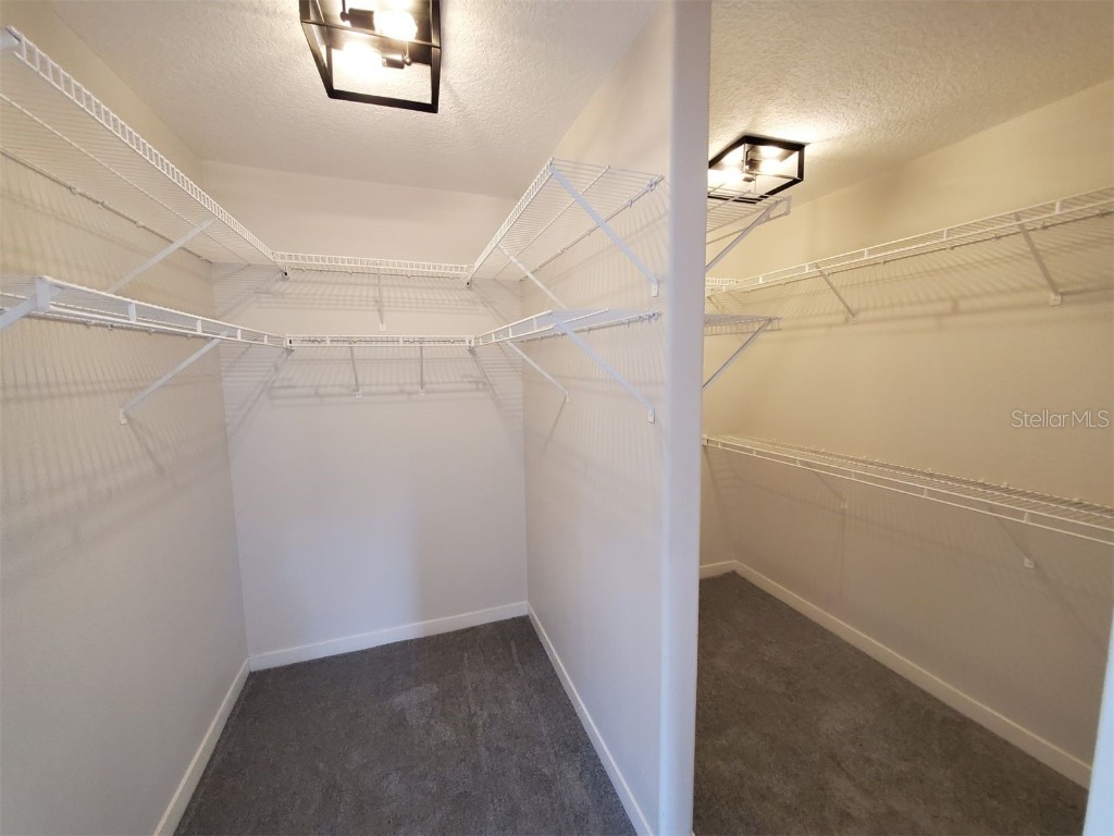 5318 Twin Creeks Drive Valrico FL 33596 TB8440491 image12