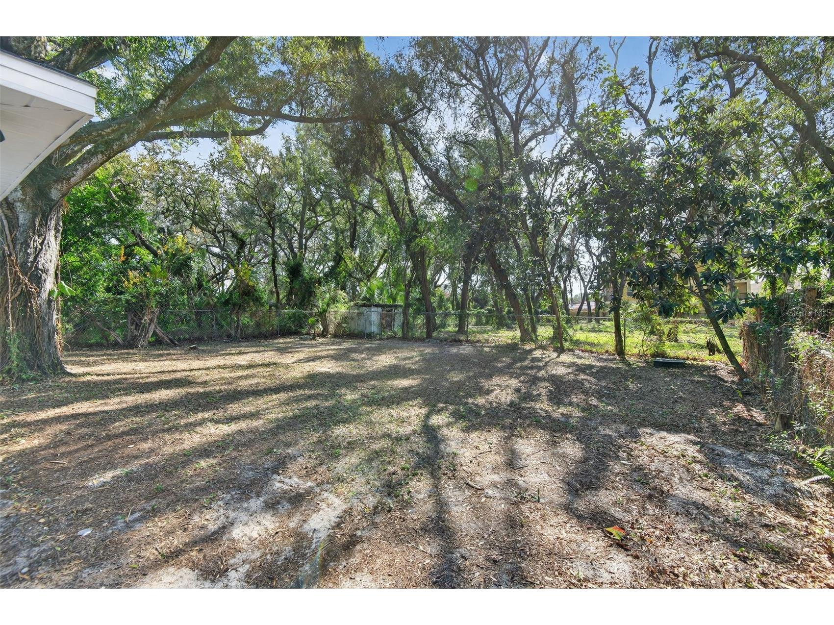 5319 Martin Lane Tampa FL 33617 O6376157 image26