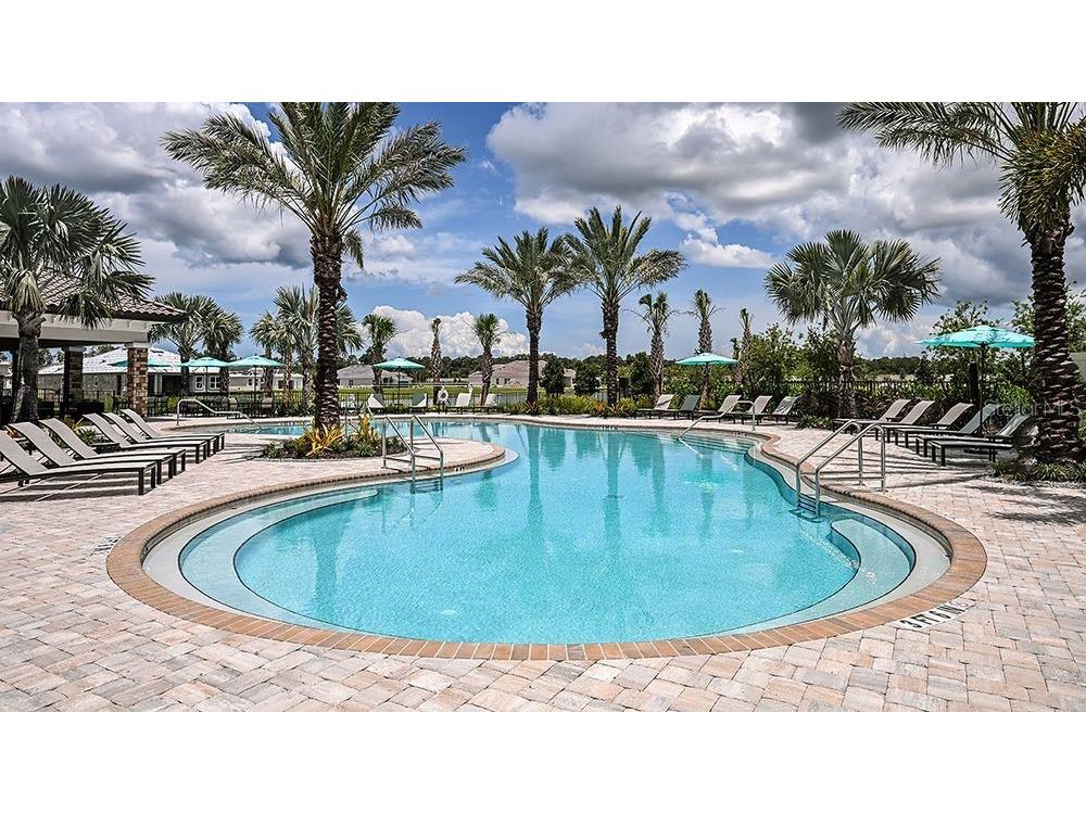 5319 Taliaferro Court Palmetto FL 34221 A4699179 image63