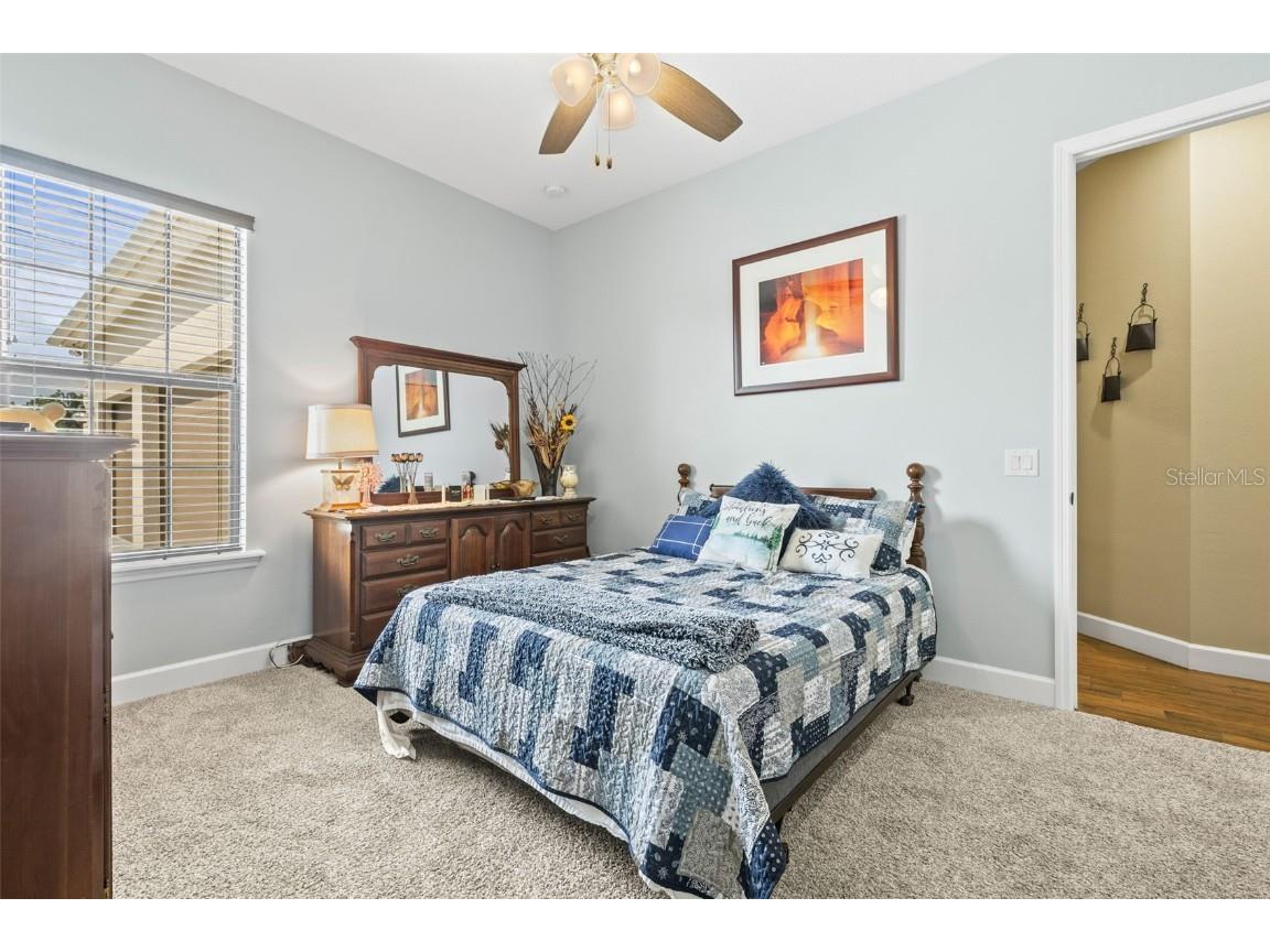 5319 W Trapnell Road Dover FL 33527 TB8386518 image21