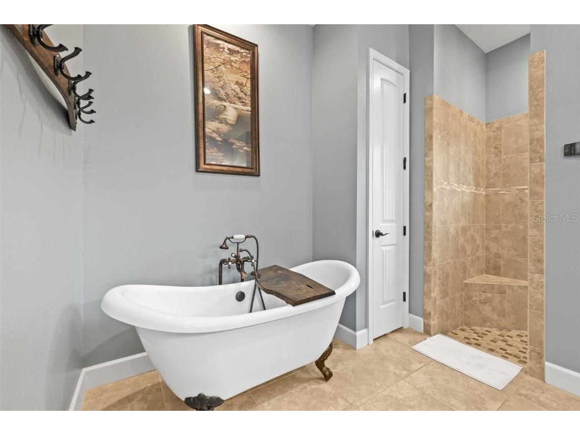 5319 W Trapnell Road Dover FL 33527 TB8386518 image26