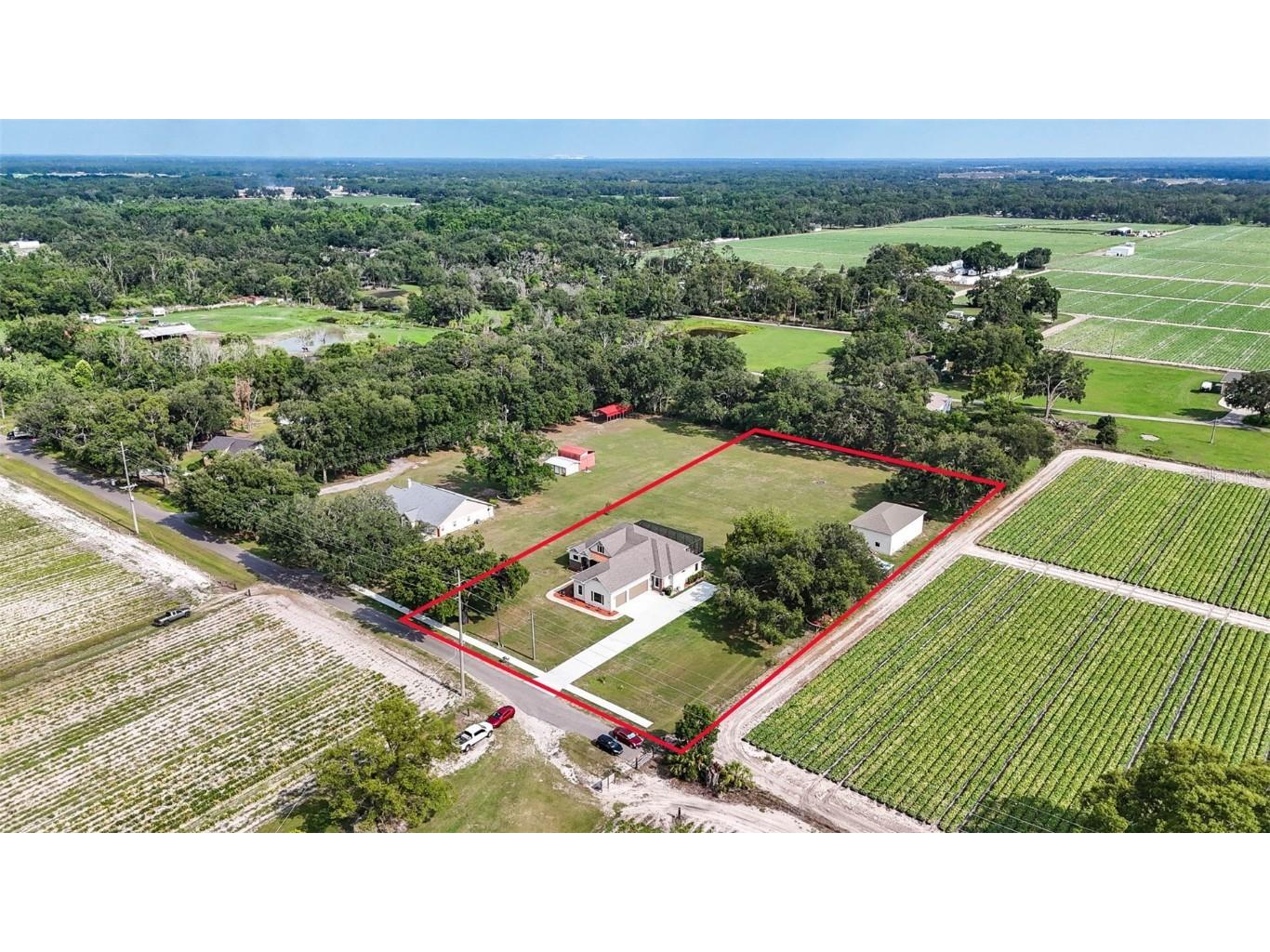 5319 W Trapnell Road Dover FL 33527 TB8386518 image43