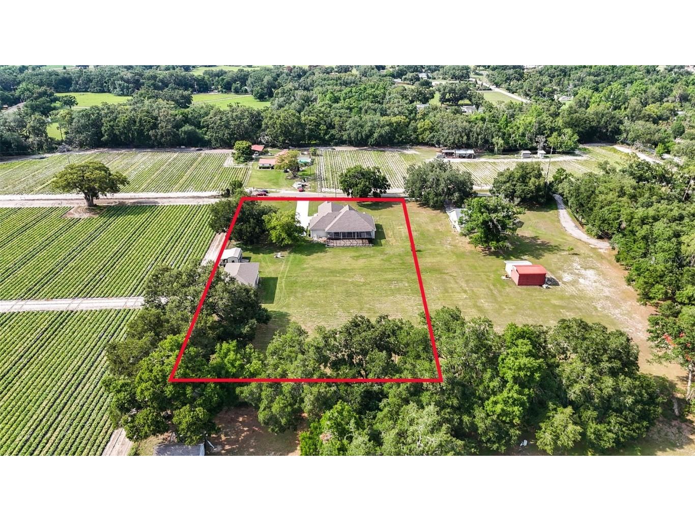 5319 W Trapnell Road Dover FL 33527 TB8386518 image44