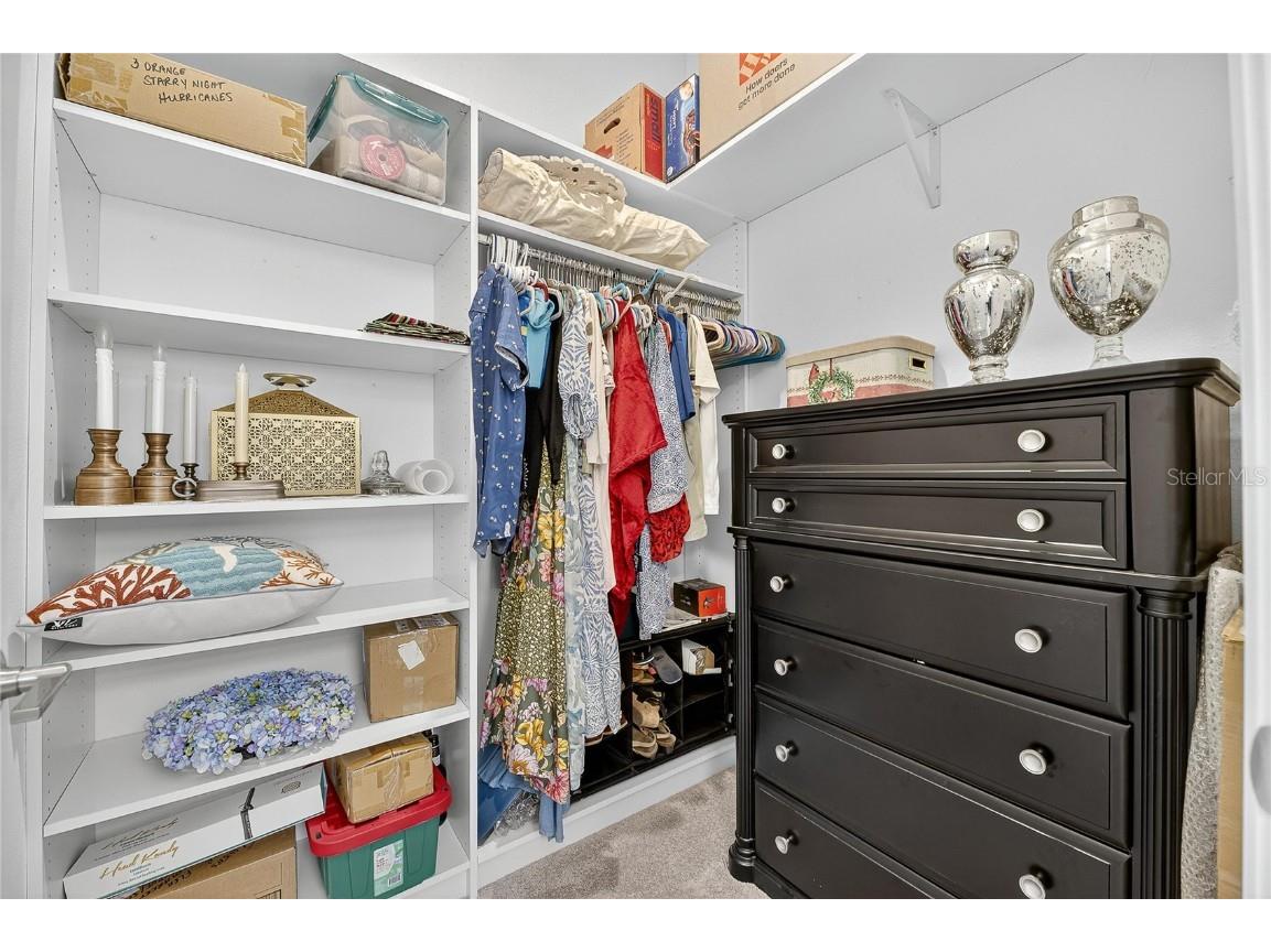 5319 Windy Grove Drive Wimauma FL 33598 TB8434094 image13