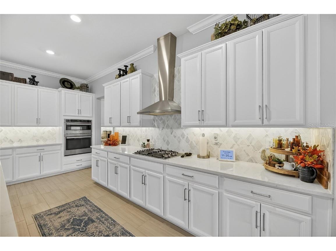 5319 Windy Grove Drive Wimauma FL 33598 TB8434094 image21