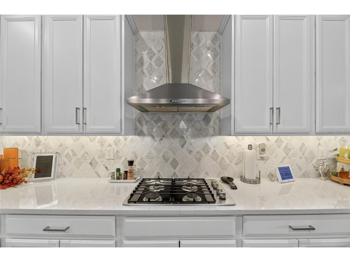 5319 Windy Grove Drive Wimauma FL 33598 TB8434094 image23