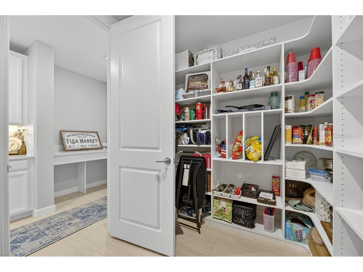 5319 Windy Grove Drive Wimauma FL 33598 TB8434094 image28