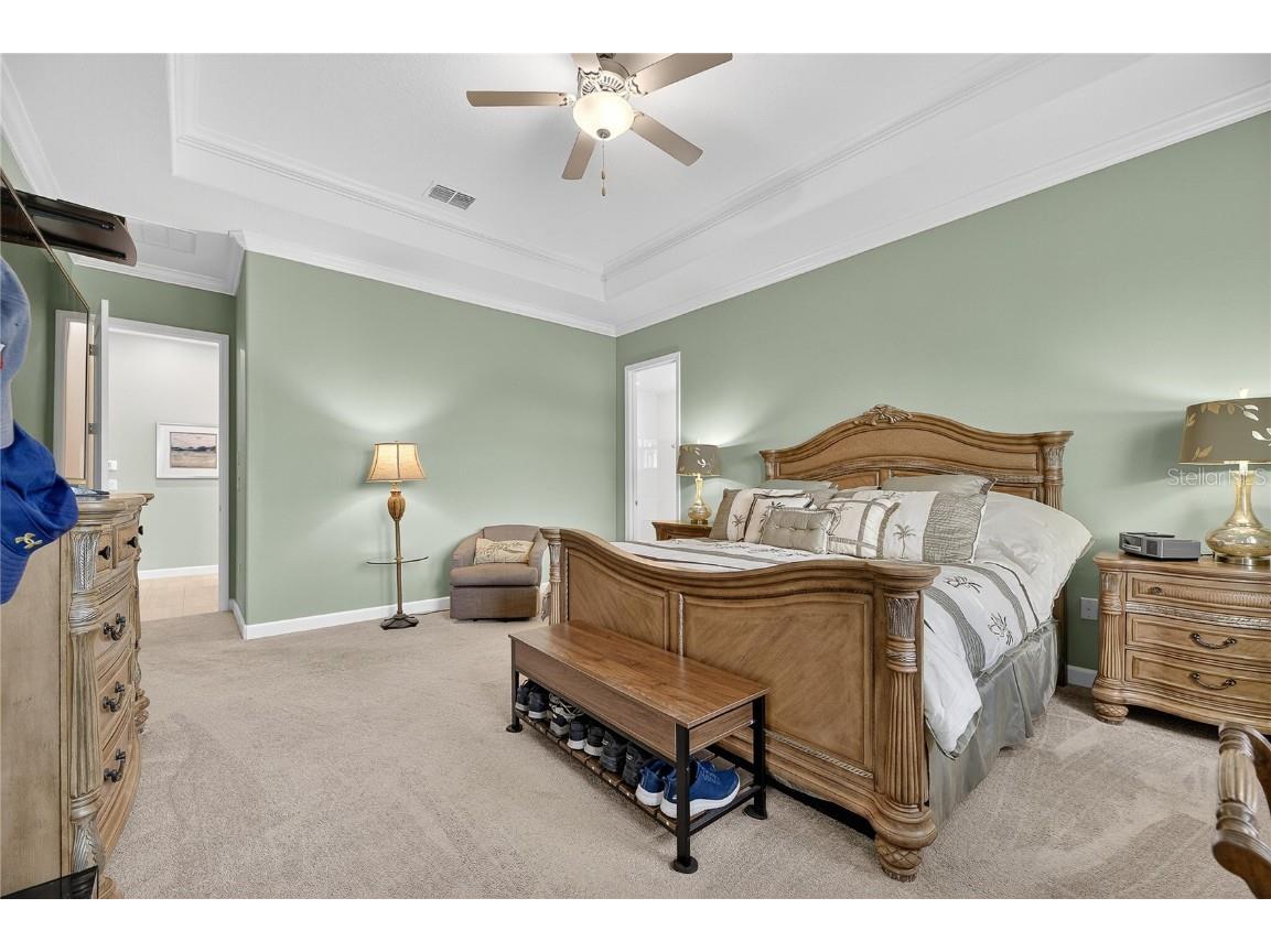 5319 Windy Grove Drive Wimauma FL 33598 TB8434094 image33