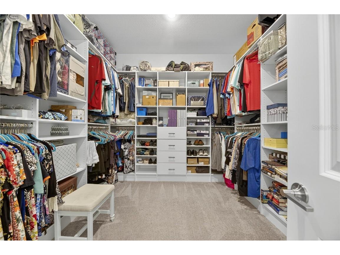 5319 Windy Grove Drive Wimauma FL 33598 TB8434094 image39