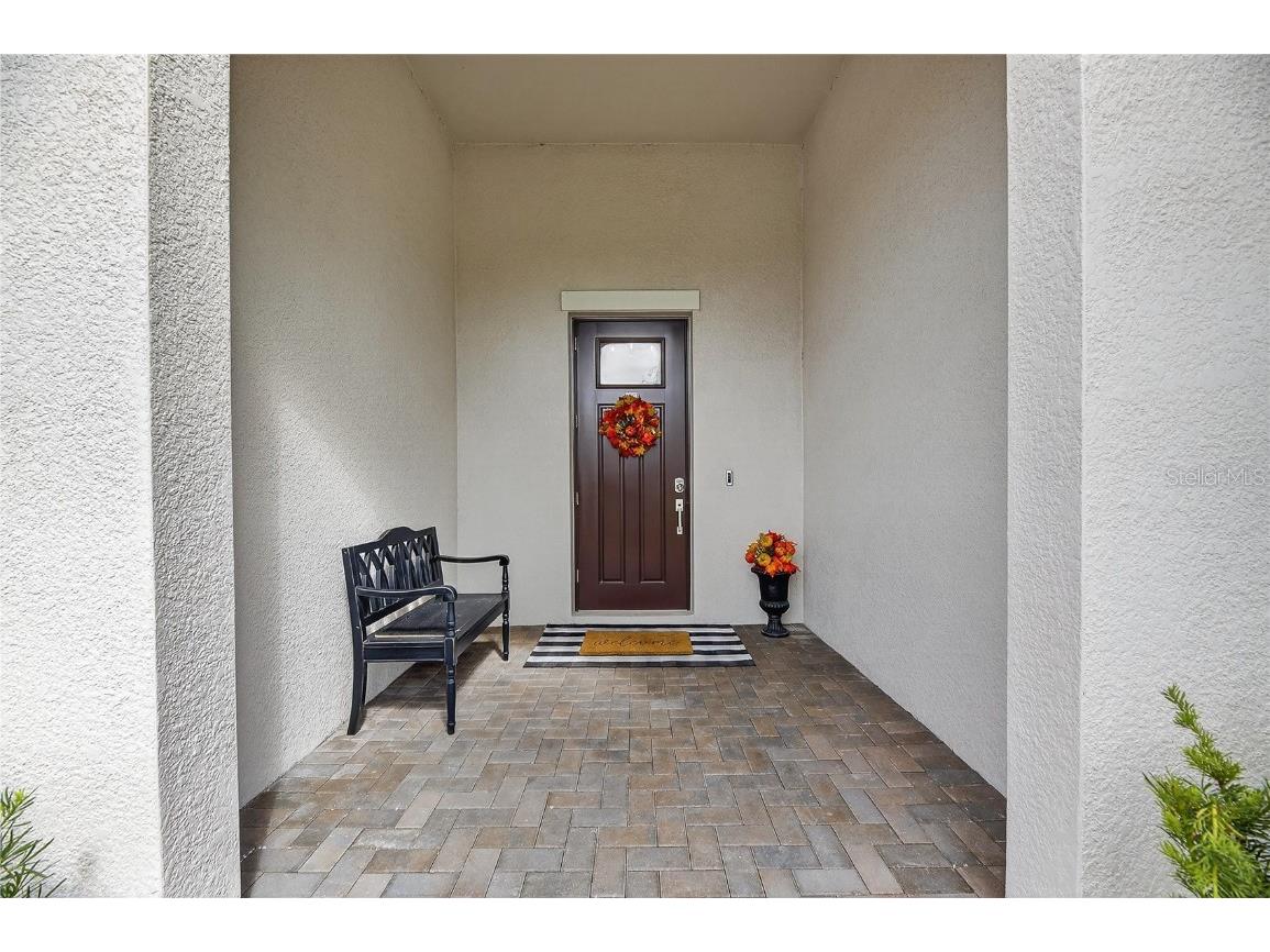 5319 Windy Grove Drive Wimauma FL 33598 TB8434094 image6