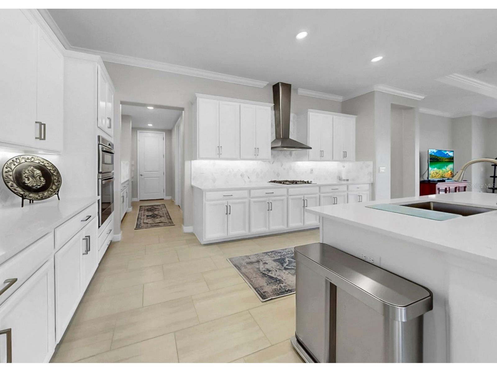 5319 Windy Grove Drive Wimauma FL 33598 TB8491987 image10