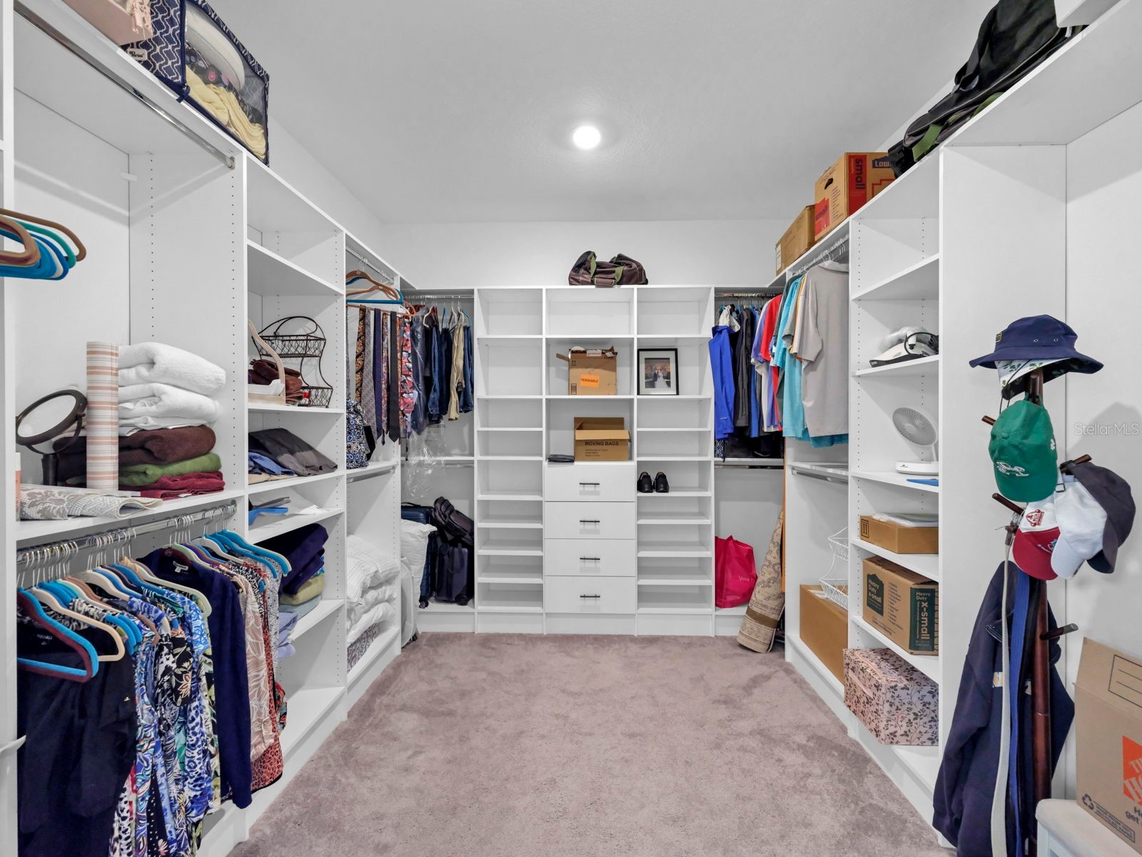 5319 Windy Grove Drive Wimauma FL 33598 TB8491987 image21