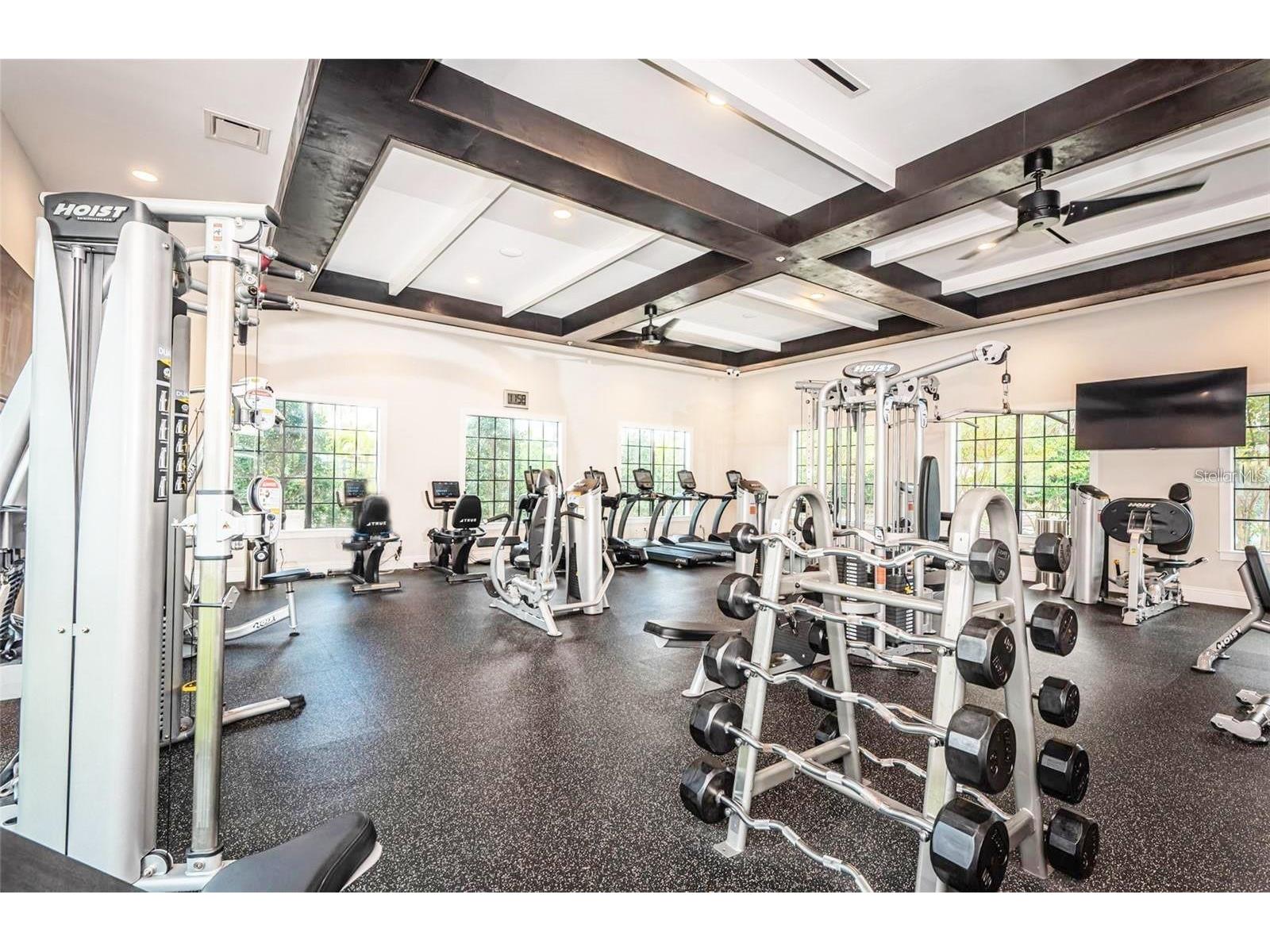 5319 Windy Grove Drive Wimauma FL 33598 TB8491987 image51