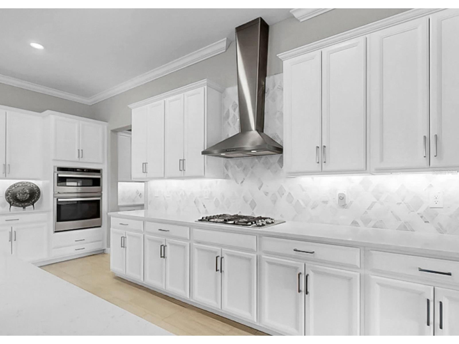 5319 Windy Grove Drive Wimauma FL 33598 TB8491987 image7