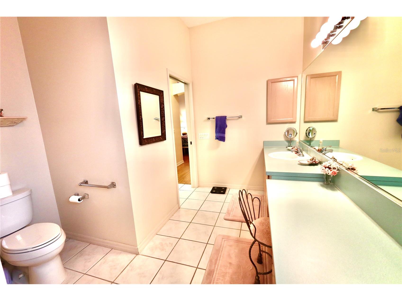 532 Carrera Drive Lady Lake FL 32159 G5112174 image15