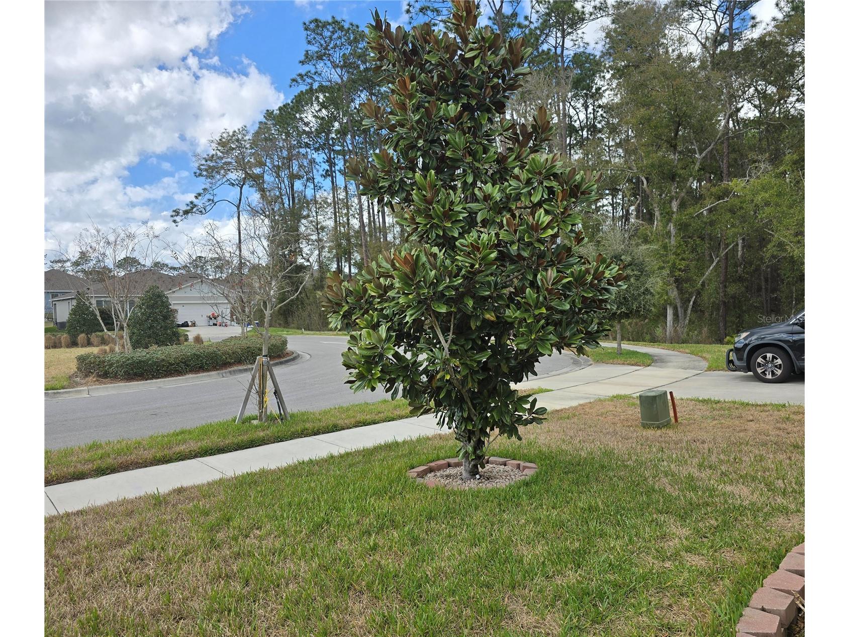 532 Emily Glen Street Deland FL 32724 R4910828 image7