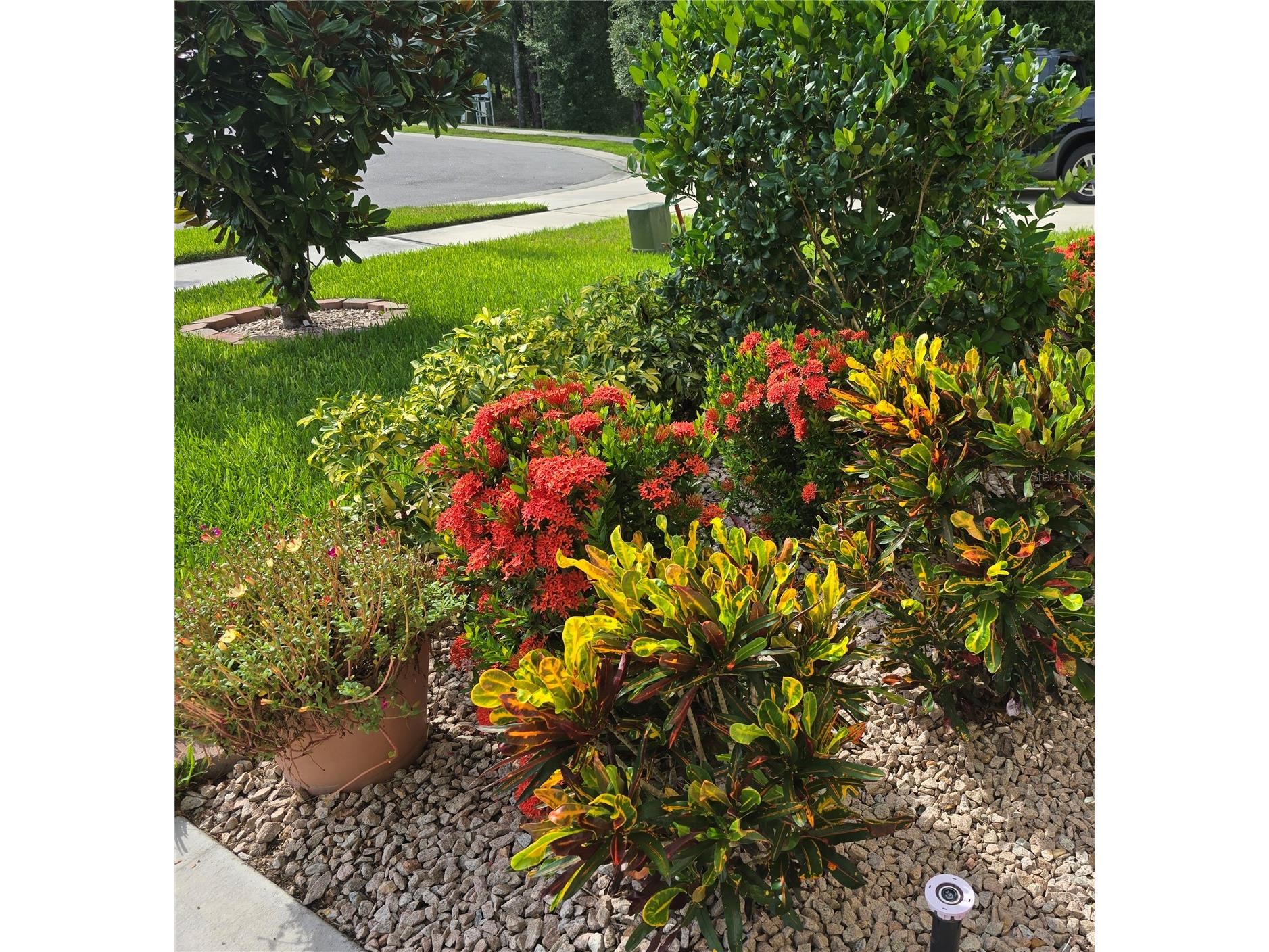 532 Emily Glen Street Deland FL 32724 R4910828 image8