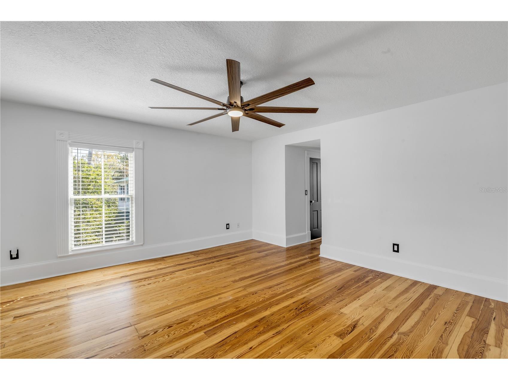 532 Faulkner Street New Smyrna Beach FL 32168 NS1083005 image48