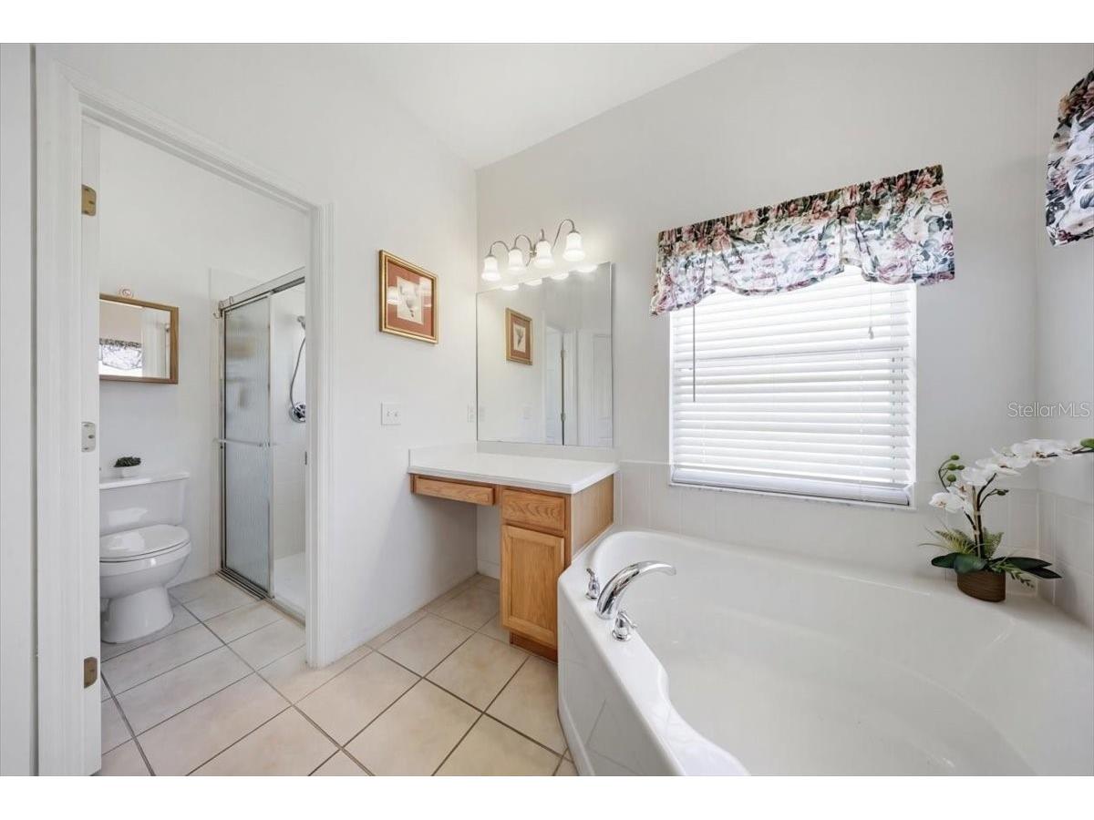 532 Genoa Drive Kissimmee FL 34759 O6406143 image16