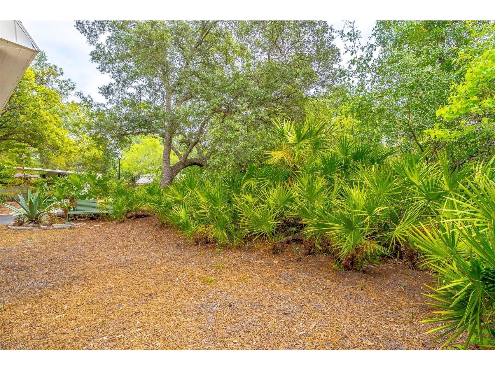 532 Hickory Court Lake Mary FL 32746 O6398467 image48