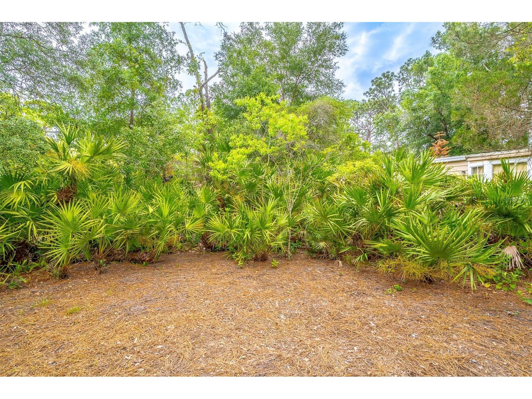 532 Hickory Court Lake Mary FL 32746 O6398467 image49