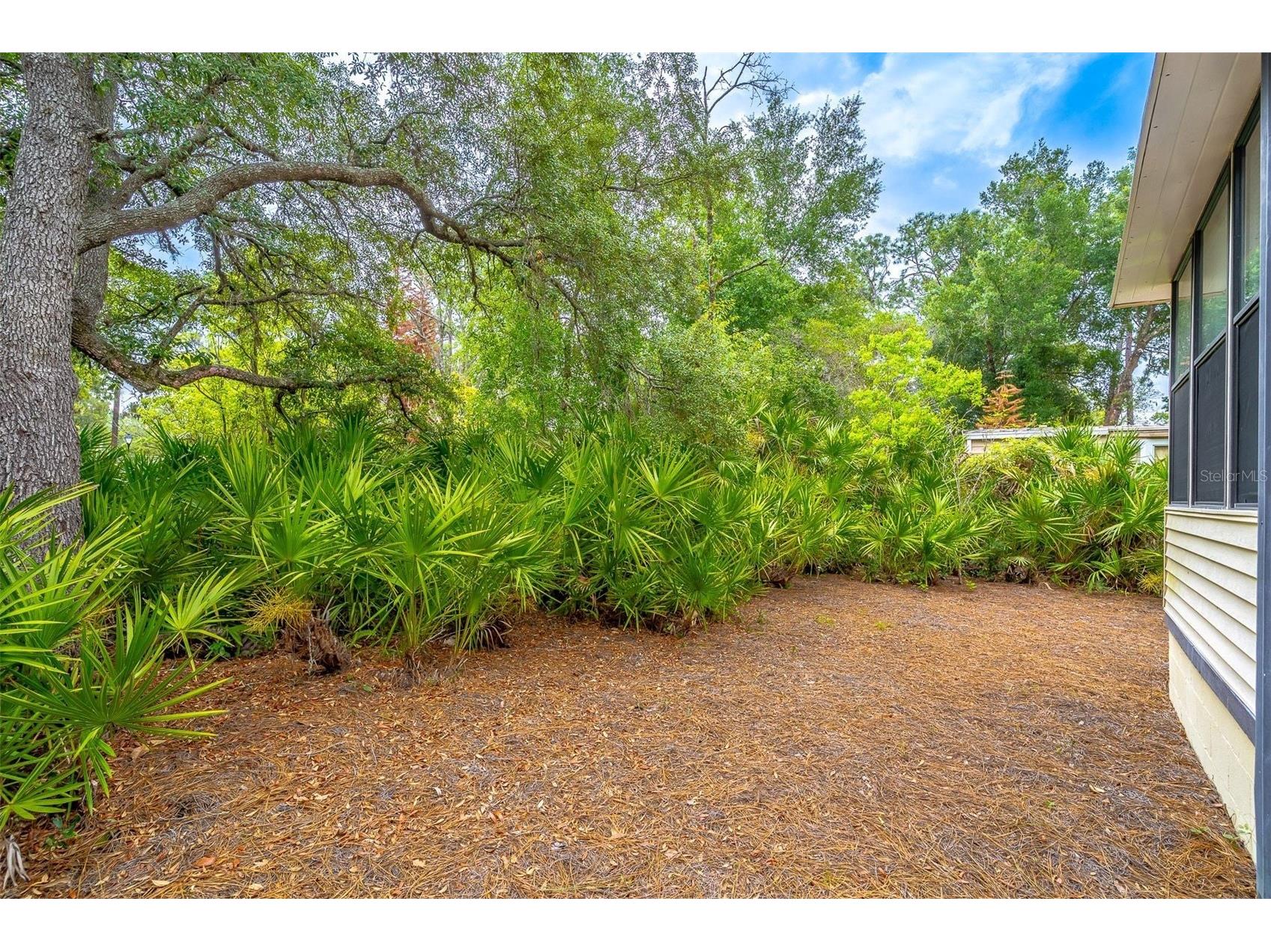 532 Hickory Court Lake Mary FL 32746 O6398467 image51