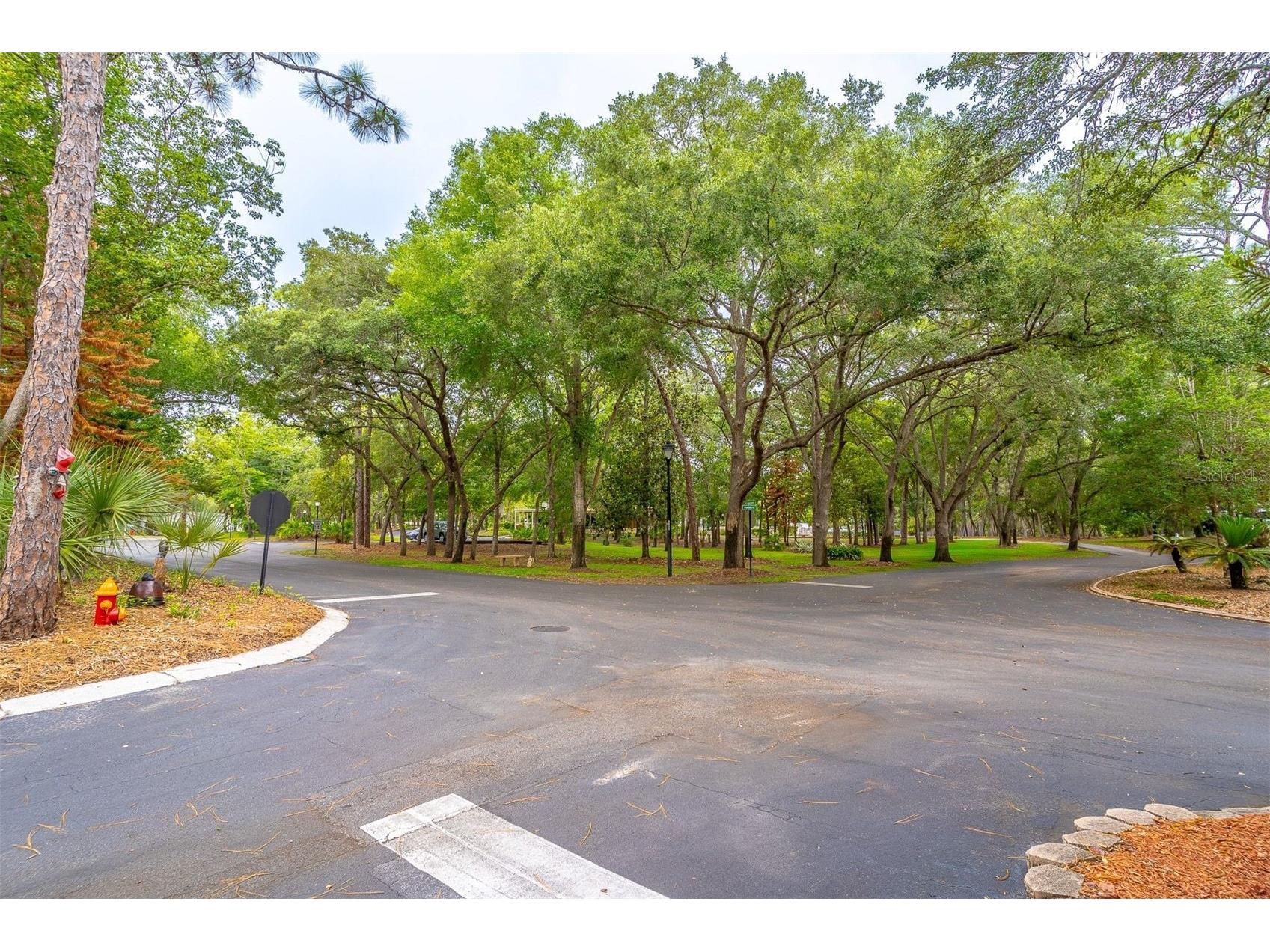 532 Hickory Court Lake Mary FL 32746 O6398467 image58