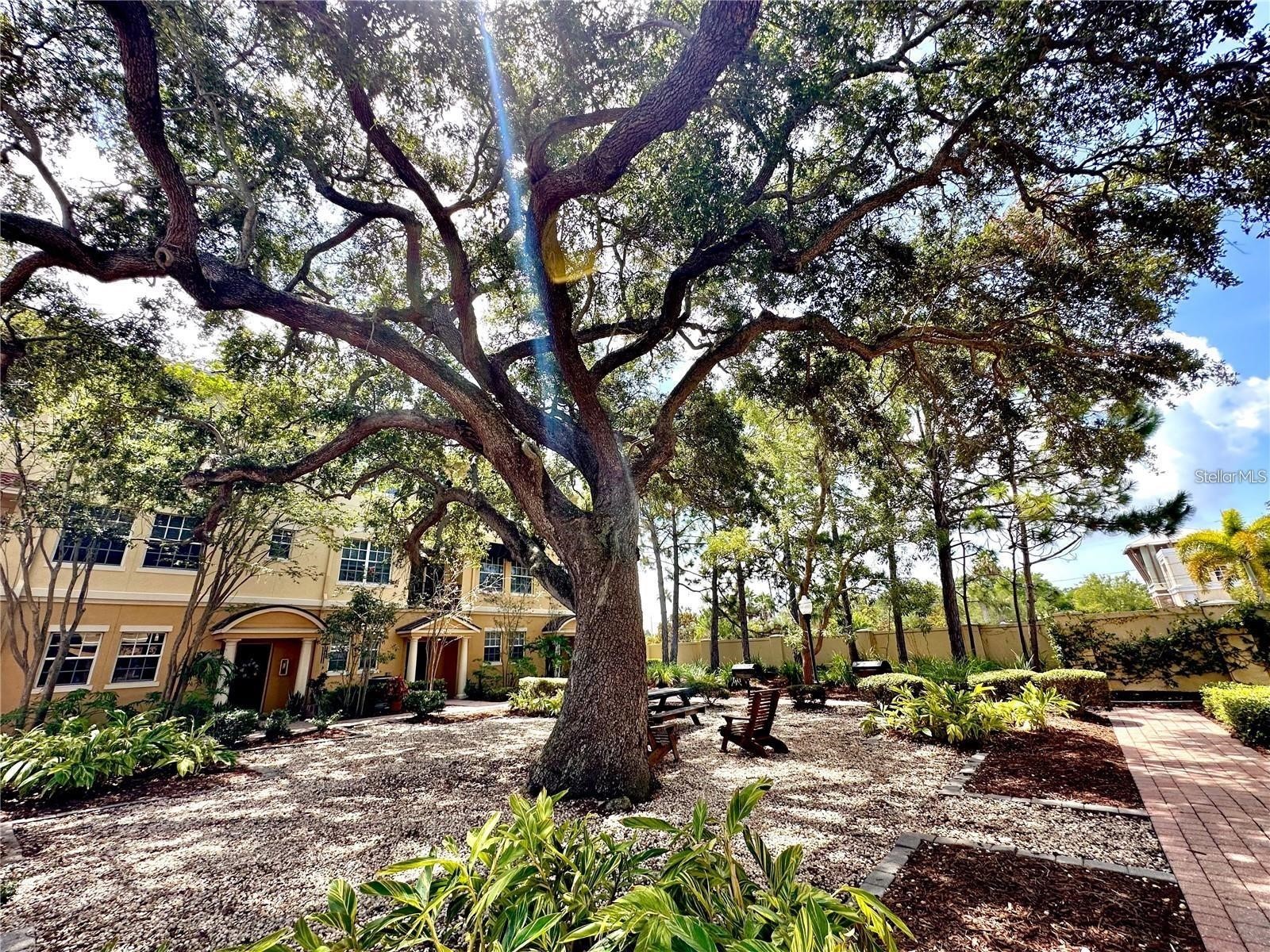532 Jasmine Way Clearwater FL 33756 TB8513034 image15